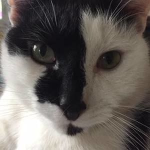 Meet your Posher, Kathy